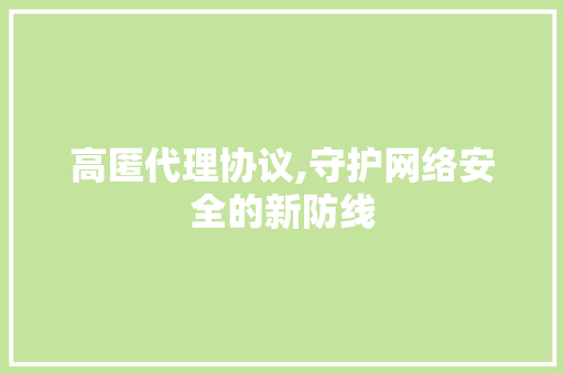 高匿代理协议,守护网络安全的新防线