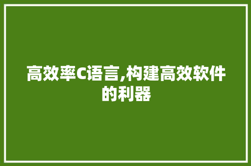 高效率C语言,构建高效软件的利器