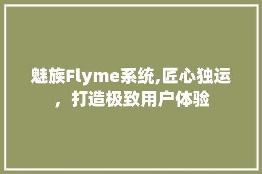 魅族Flyme系统,匠心独运，打造极致用户体验