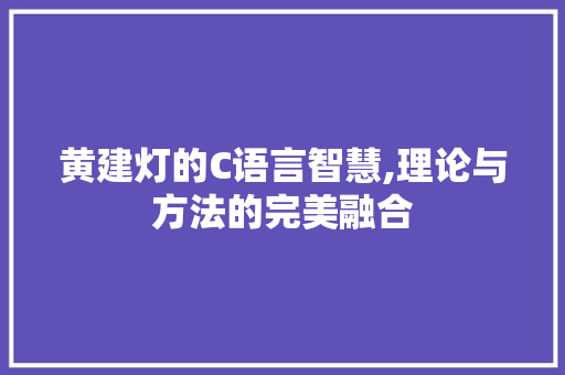 黄建灯的C语言智慧,理论与方法的完美融合 必应SEO