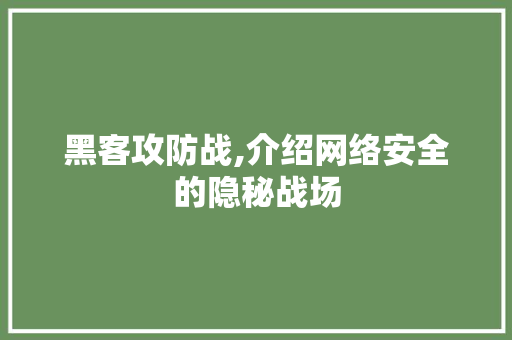 黑客攻防战,介绍网络安全的隐秘战场