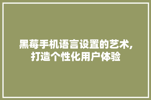 黑莓手机语言设置的艺术,打造个性化用户体验