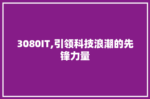 3080IT,引领科技浪潮的先锋力量