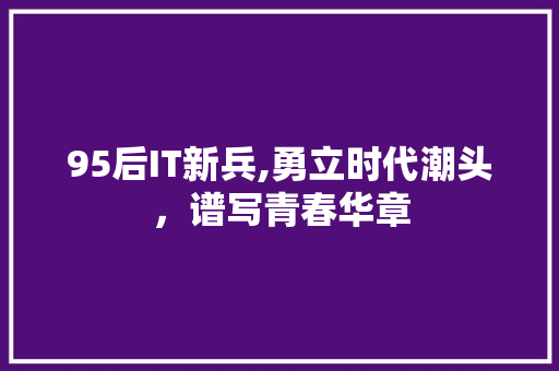 95后IT新兵,勇立时代潮头，谱写青春华章