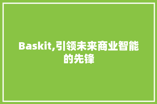Baskit,引领未来商业智能的先锋 必应SEO