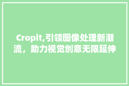 Cropit,引领图像处理新潮流，助力视觉创意无限延伸