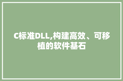 C标准DLL,构建高效、可移植的软件基石