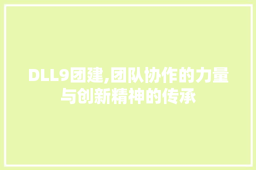 DLL9团建,团队协作的力量与创新精神的传承
