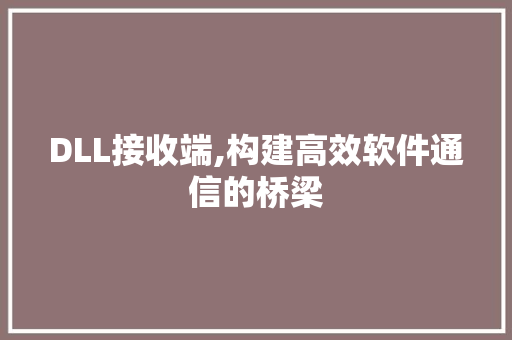 DLL接收端,构建高效软件通信的桥梁