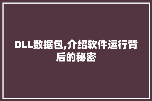 DLL数据包,介绍软件运行背后的秘密 搜狗SEO
