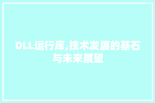 DLL运行库,技术发展的基石与未来展望
