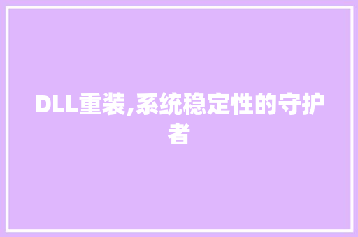 DLL重装,系统稳定性的守护者