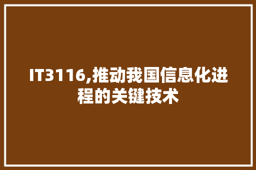 IT3116,推动我国信息化进程的关键技术