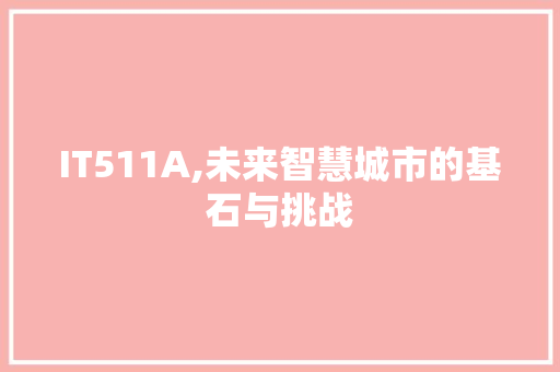 IT511A,未来智慧城市的基石与挑战