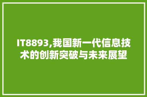 IT8893,我国新一代信息技术的创新突破与未来展望