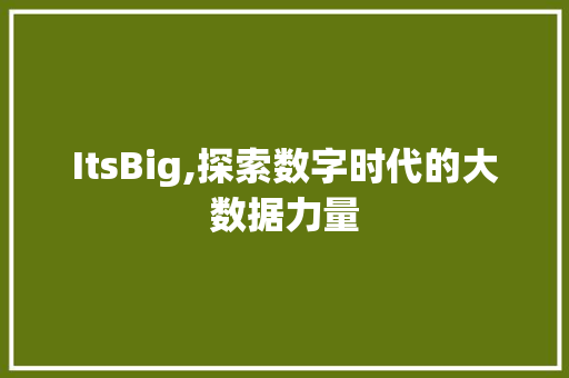 ItsBig,探索数字时代的大数据力量 搜狗SEO