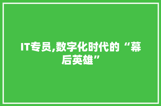 IT专员,数字化时代的“幕后英雄” 必应SEO IT专员,数字化时代的“幕后英雄” 必应SEO
