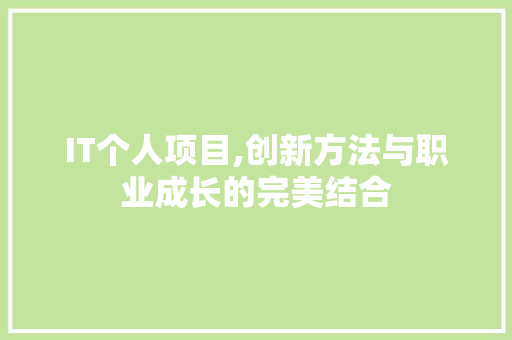 IT个人项目,创新方法与职业成长的完美结合