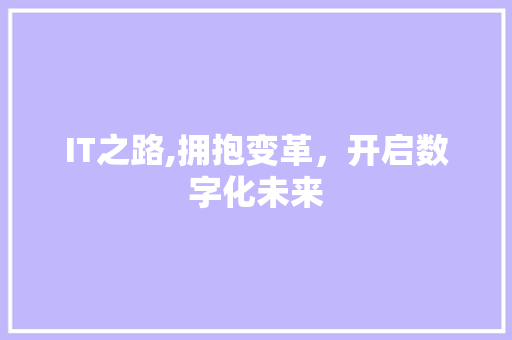 IT之路,拥抱变革，开启数字化未来