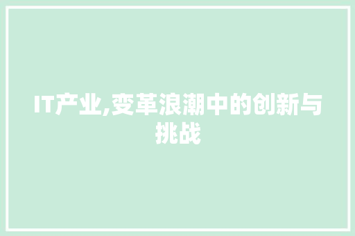 IT产业,变革浪潮中的创新与挑战