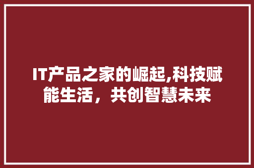 IT产品之家的崛起,科技赋能生活，共创智慧未来