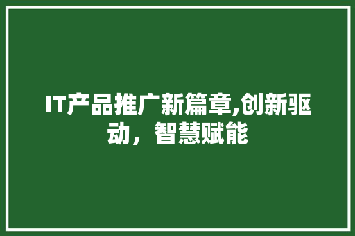 IT产品推广新篇章,创新驱动，智慧赋能