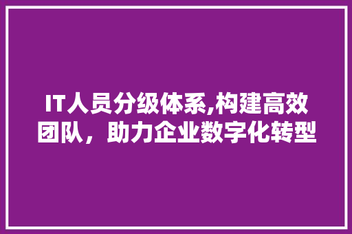 IT人员分级体系,构建高效团队，助力企业数字化转型