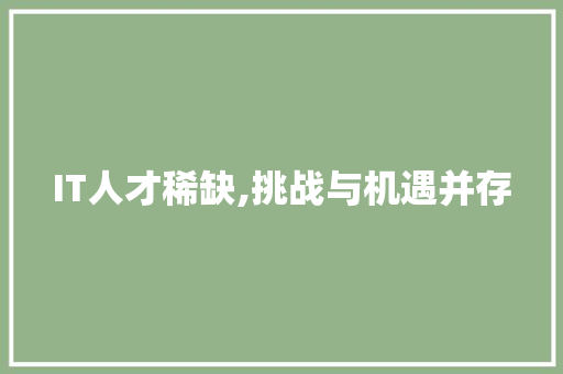 IT人才稀缺,挑战与机遇并存