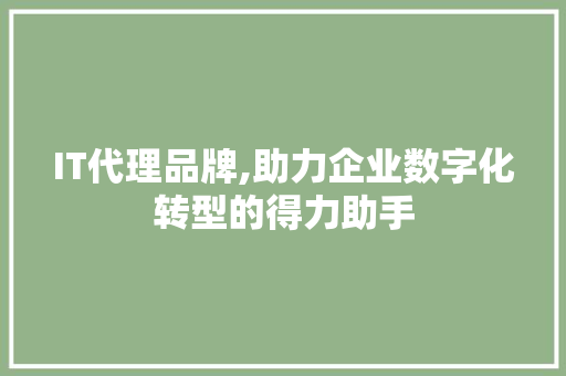 IT代理品牌,助力企业数字化转型的得力助手