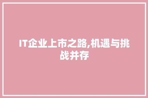 IT企业上市之路,机遇与挑战并存