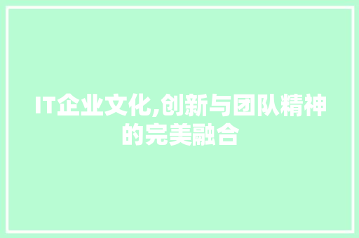 IT企业文化,创新与团队精神的完美融合