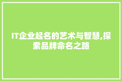 IT企业起名的艺术与智慧,探索品牌命名之路
