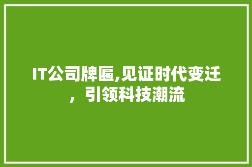 IT公司牌匾,见证时代变迁，引领科技潮流 神马SEO