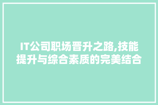 IT公司职场晋升之路,技能提升与综合素质的完美结合