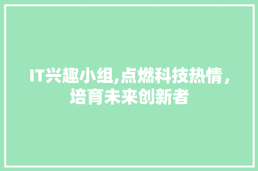 IT兴趣小组,点燃科技热情，培育未来创新者