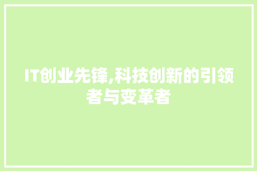 IT创业先锋,科技创新的引领者与变革者