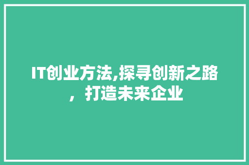 IT创业方法,探寻创新之路，打造未来企业