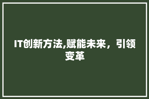 IT创新方法,赋能未来，引领变革 GoogleSEO
