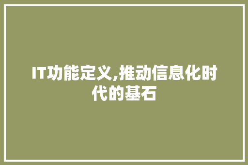 IT功能定义,推动信息化时代的基石