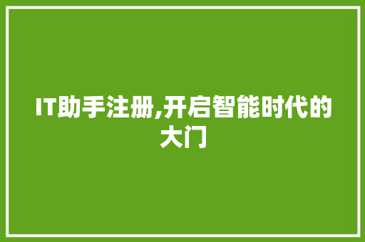 IT助手注册,开启智能时代的大门