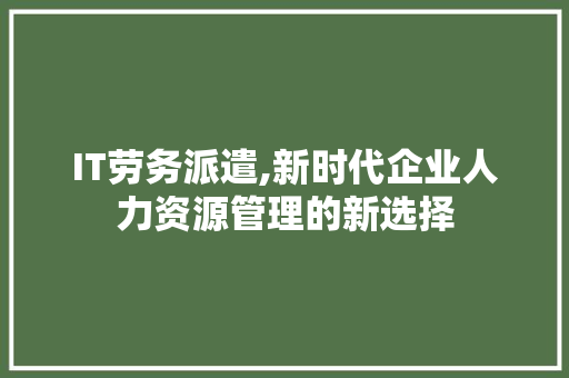 IT劳务派遣,新时代企业人力资源管理的新选择