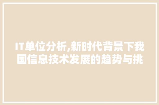 IT单位分析,新时代背景下我国信息技术发展的趋势与挑战