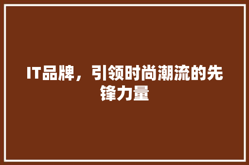 IT品牌，引领时尚潮流的先锋力量