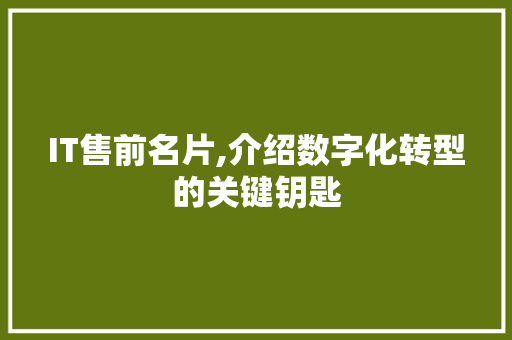 IT售前名片,介绍数字化转型的关键钥匙