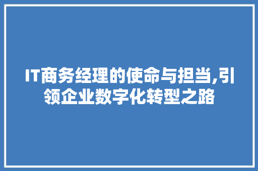IT商务经理的使命与担当,引领企业数字化转型之路
