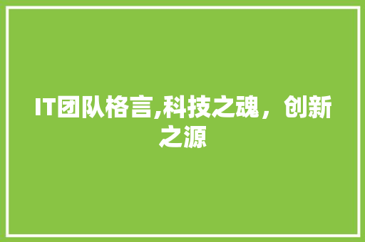 IT团队格言,科技之魂，创新之源