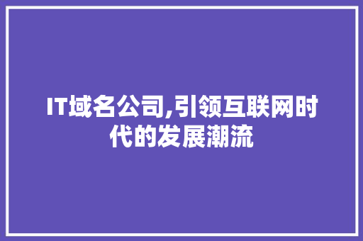 IT域名公司,引领互联网时代的发展潮流
