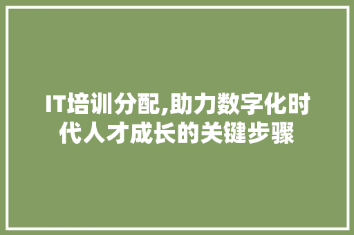 IT培训分配,助力数字化时代人才成长的关键步骤
