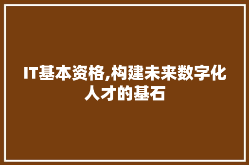 IT基本资格,构建未来数字化人才的基石