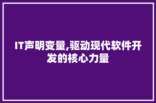 IT声明变量,驱动现代软件开发的核心力量
